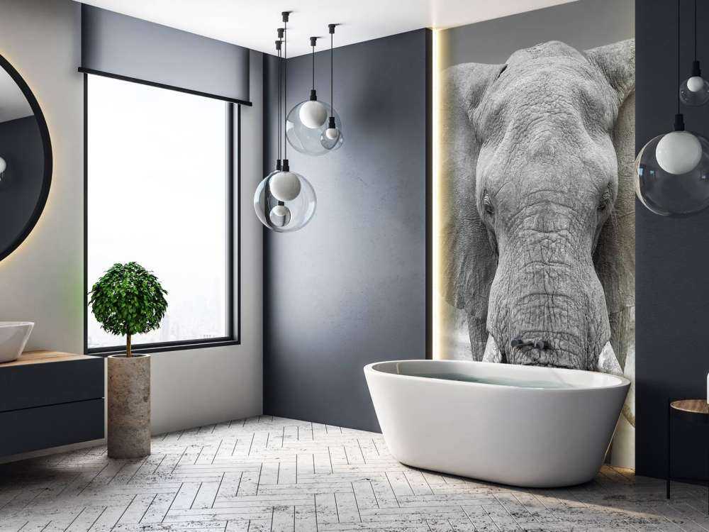 Elephant black and white