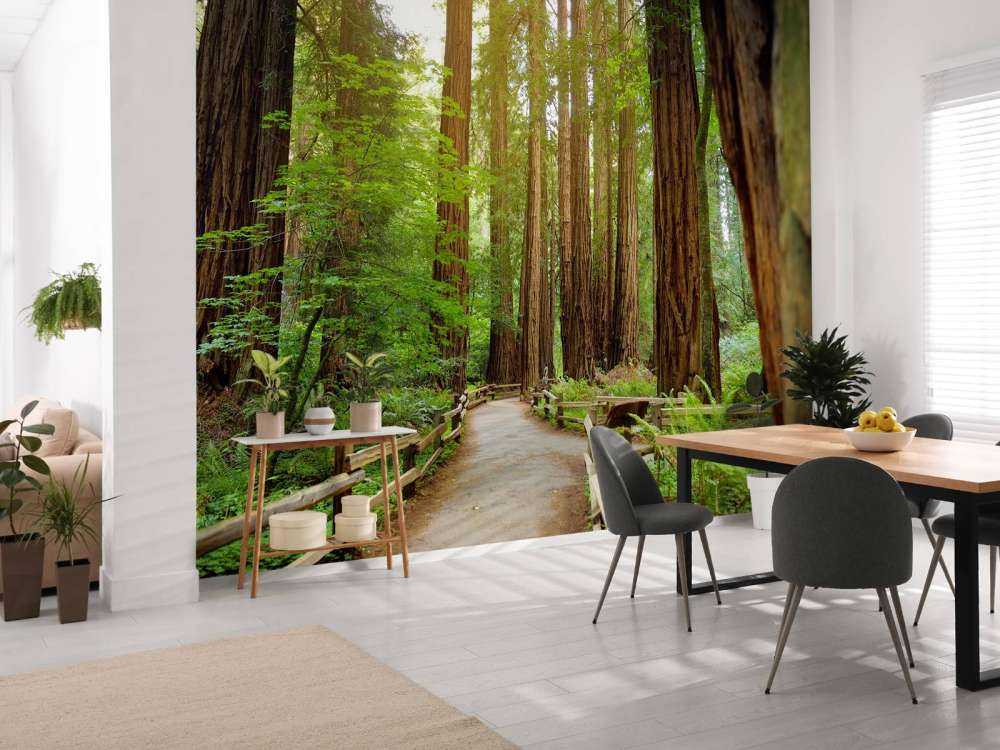 Tall trees in park