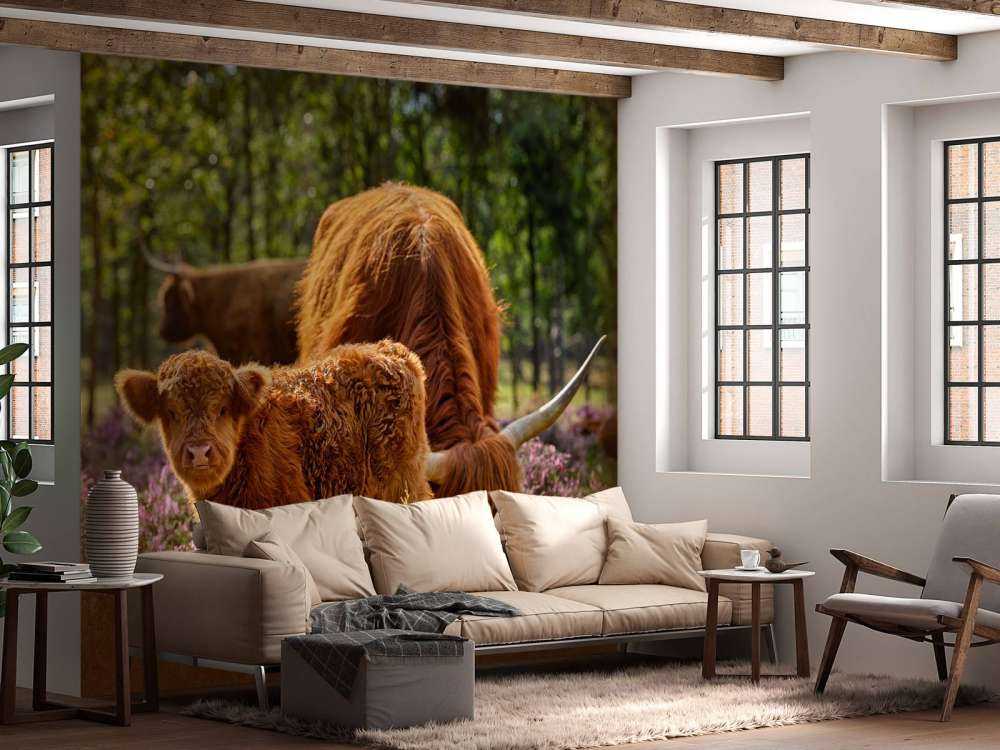 Family Scottish Highlanders