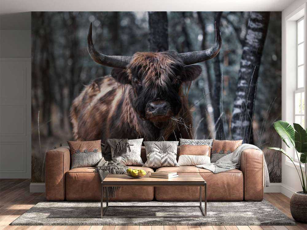 Scottish Highlander