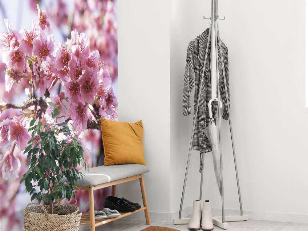 Close-up pink blossom