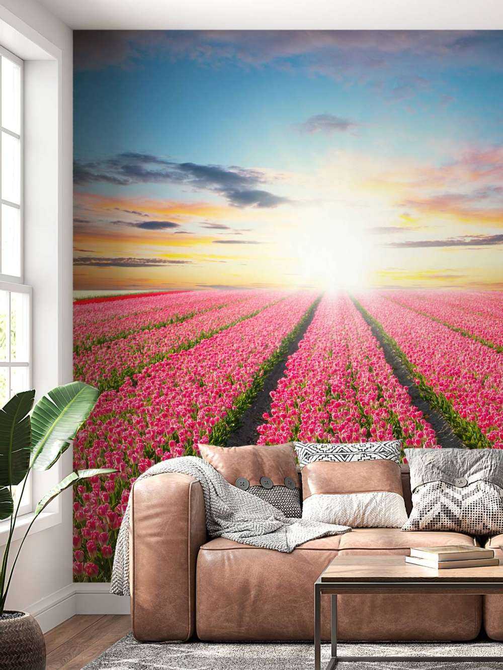 Tulips with rising sun