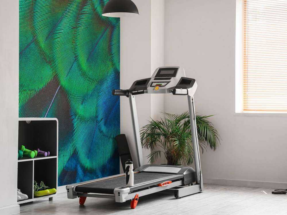 Close-up of peacock feathers