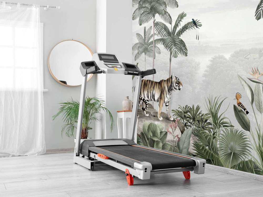 Sir Edward - Tropical Tiger