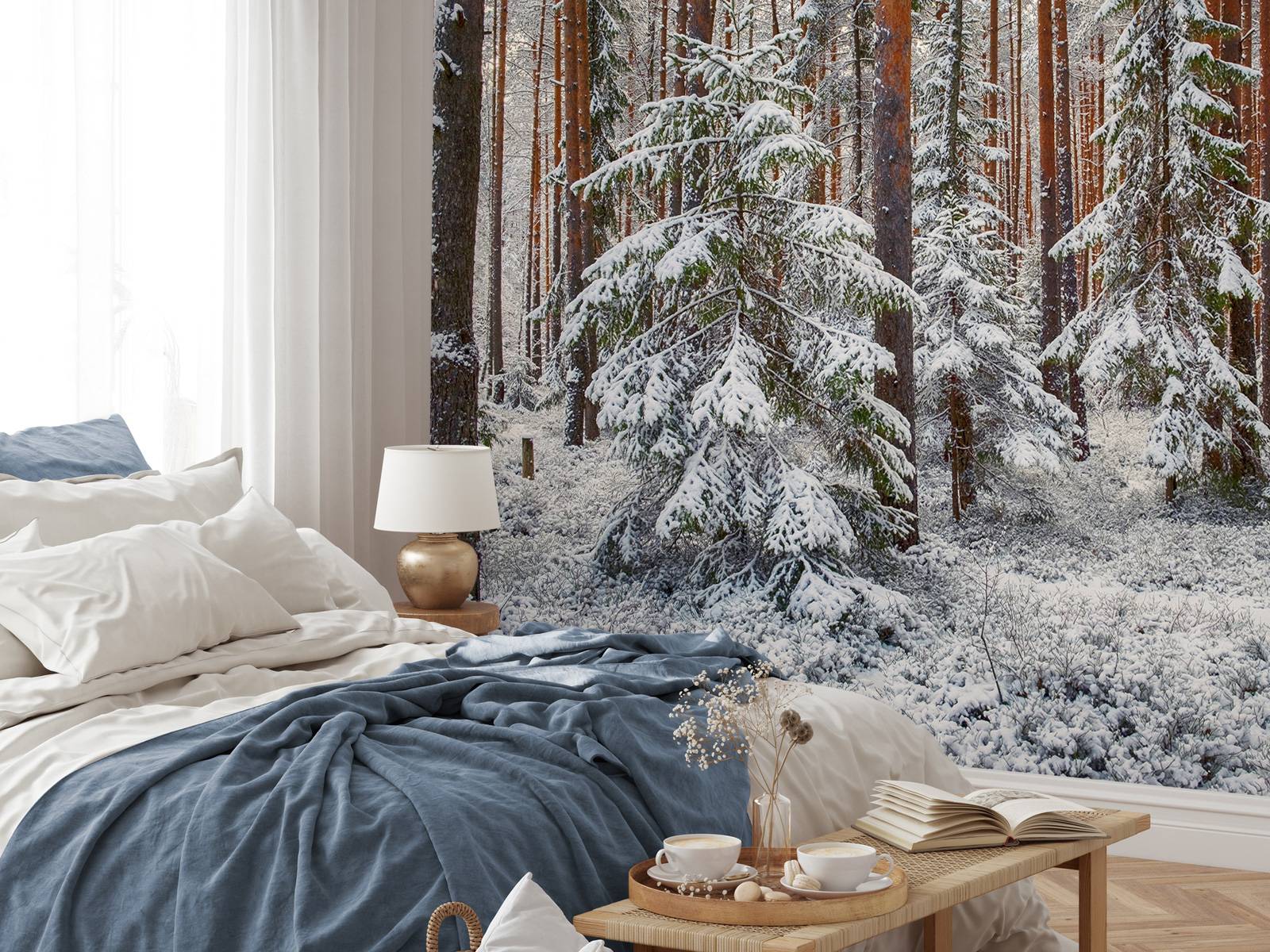 Forest in snow