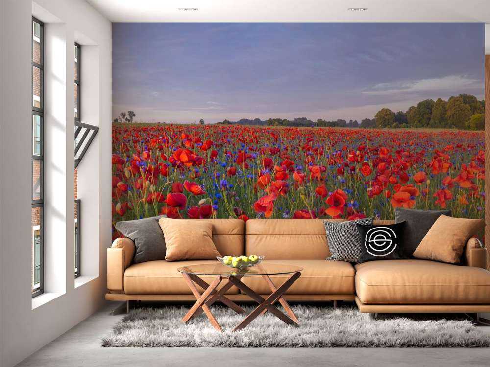 Blue flowers and red Poppies