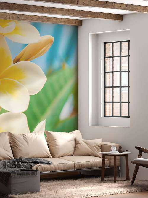 White Yellow Plumeria Flower