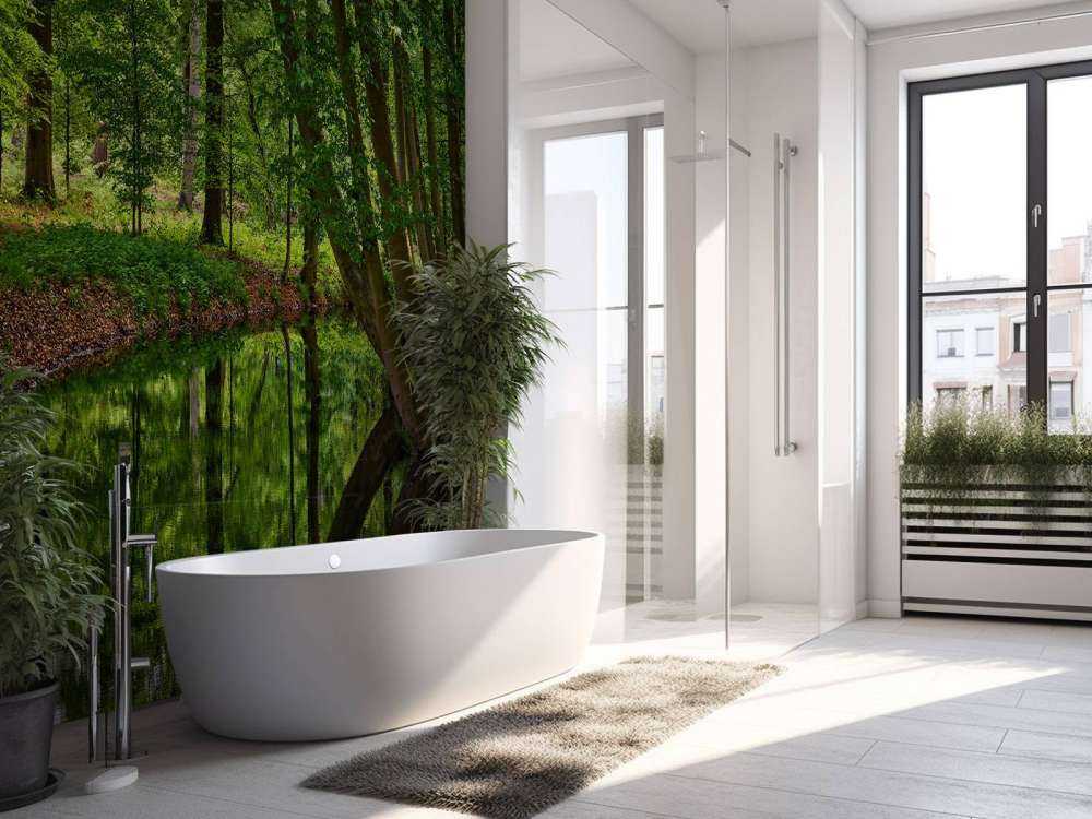 Bent trees by the water