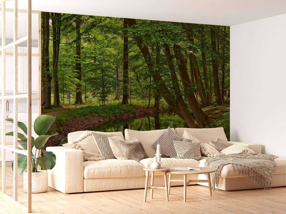 Bent trees by the water