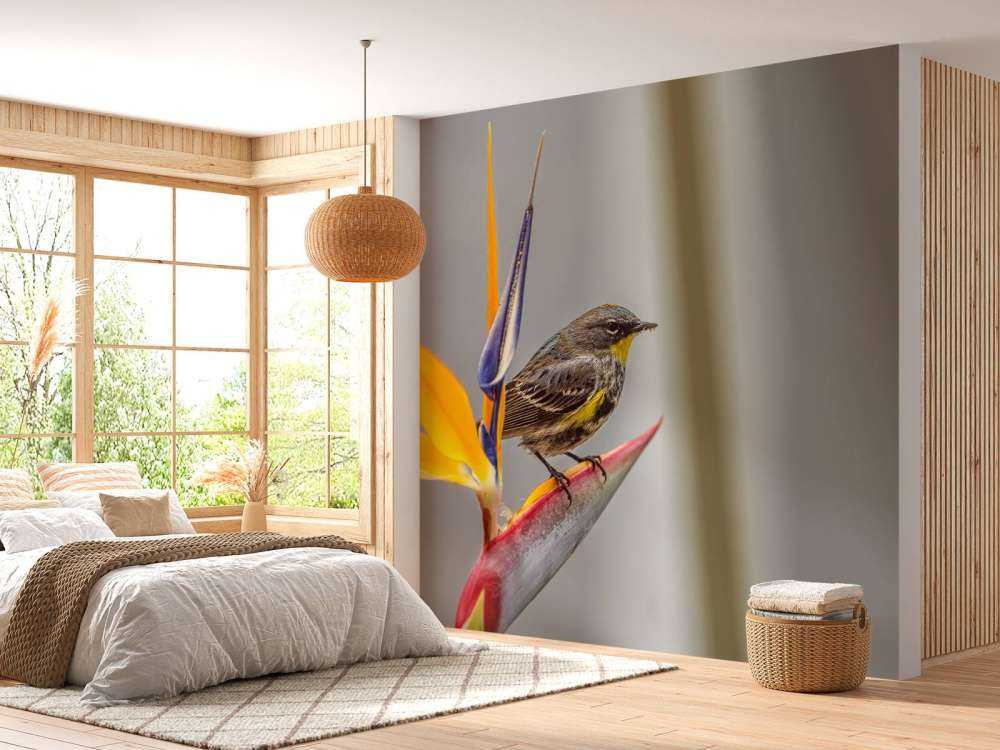 Paradise flower with bird