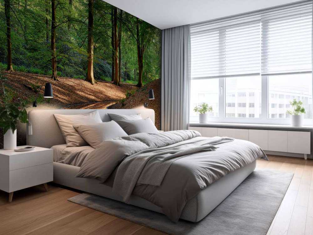 Brooklet in the forest