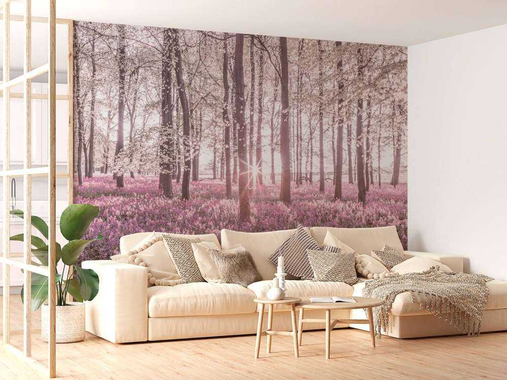 Forest in spring
