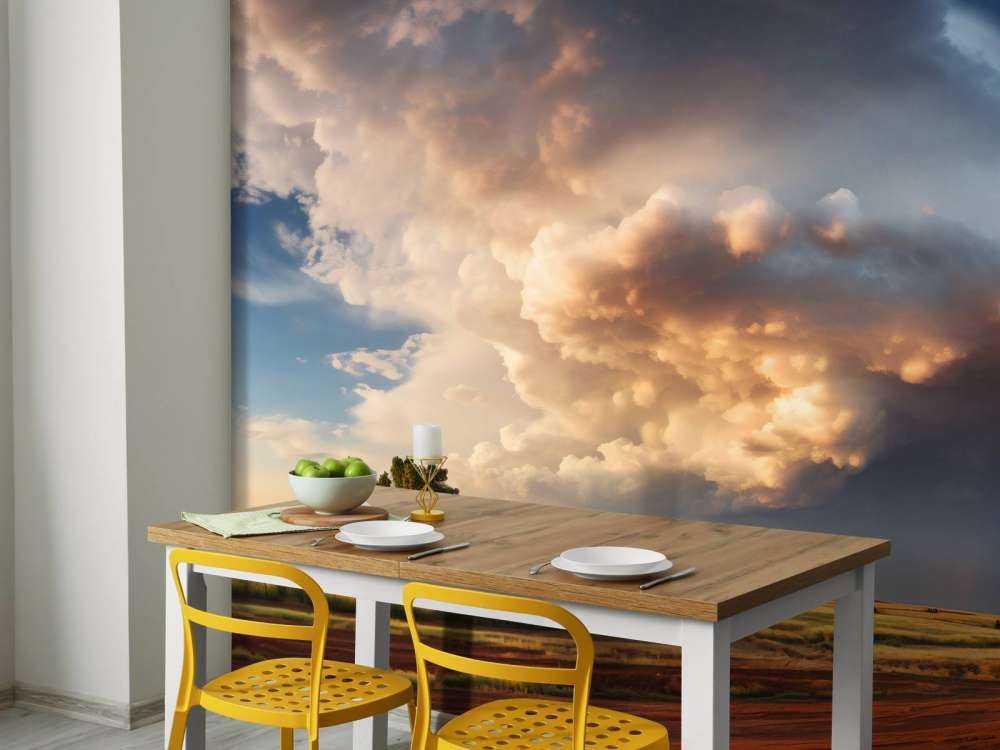 Storm over the Meadow