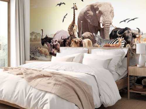 Animals in Africa