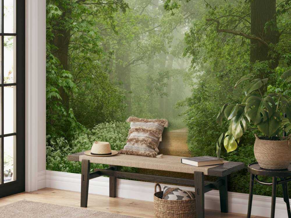 Misty forest with path