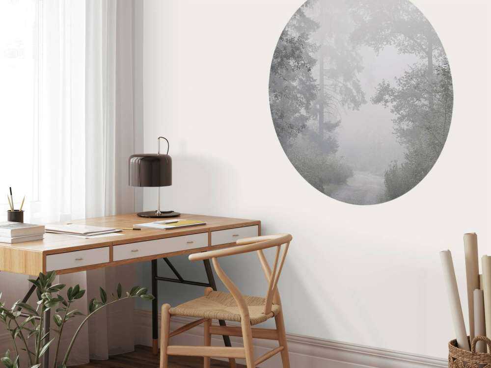 Road through misty forest