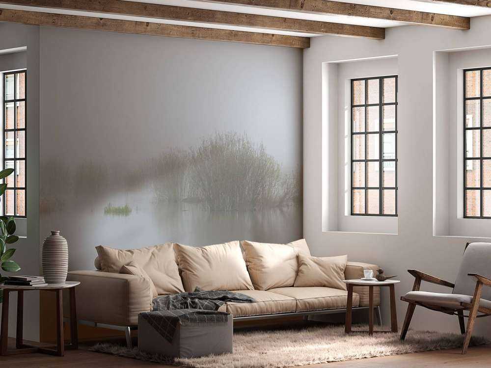 Fog in nature reserve