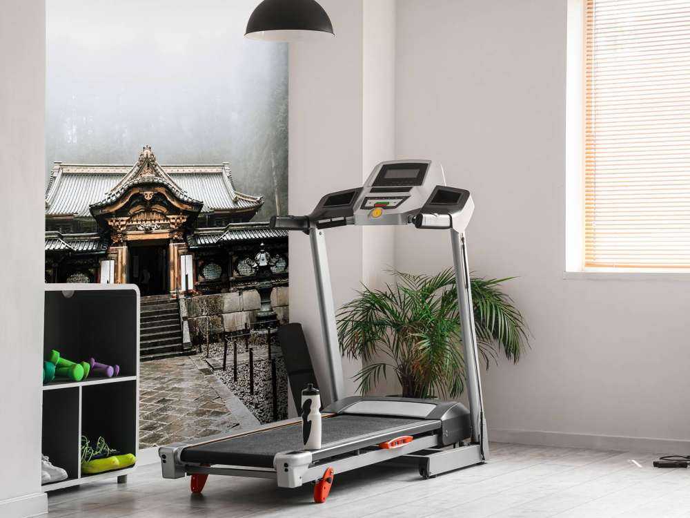 Ancient Japanese temple