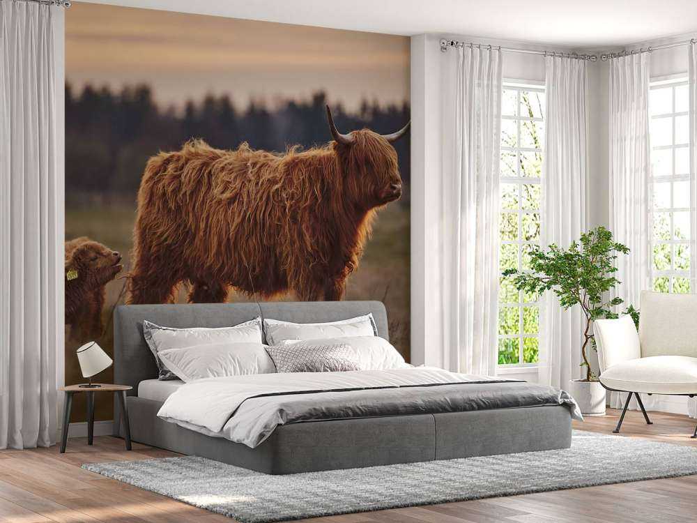 Scottish Highlanders in the meadow