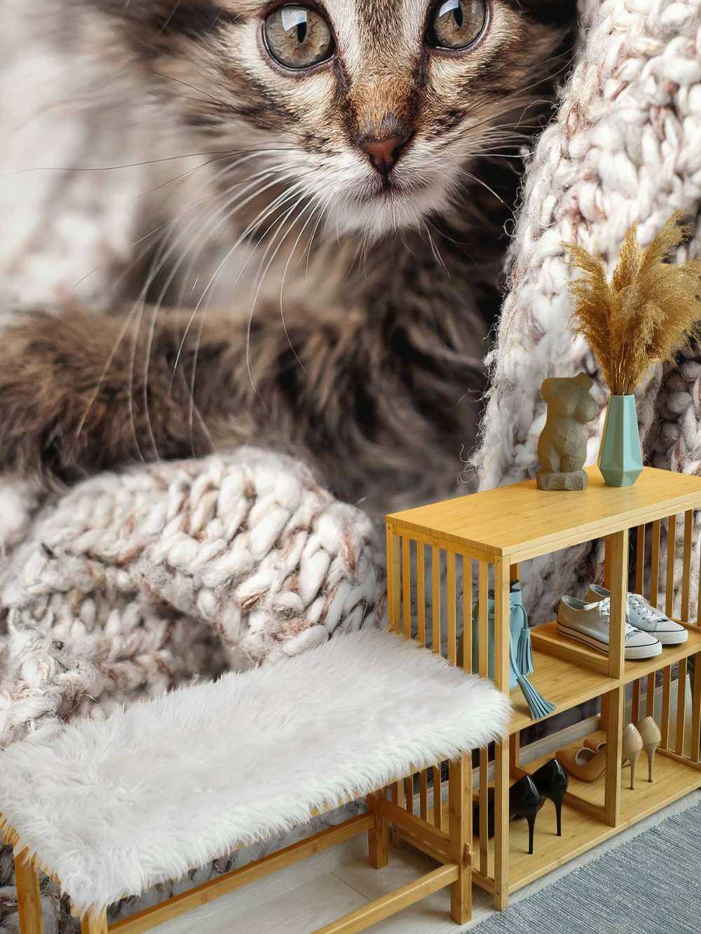 Kitten in a blanket