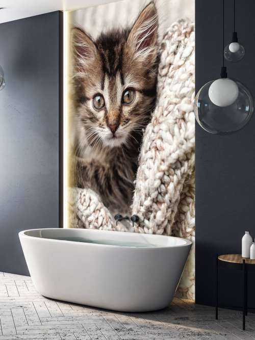 Kitten in a blanket