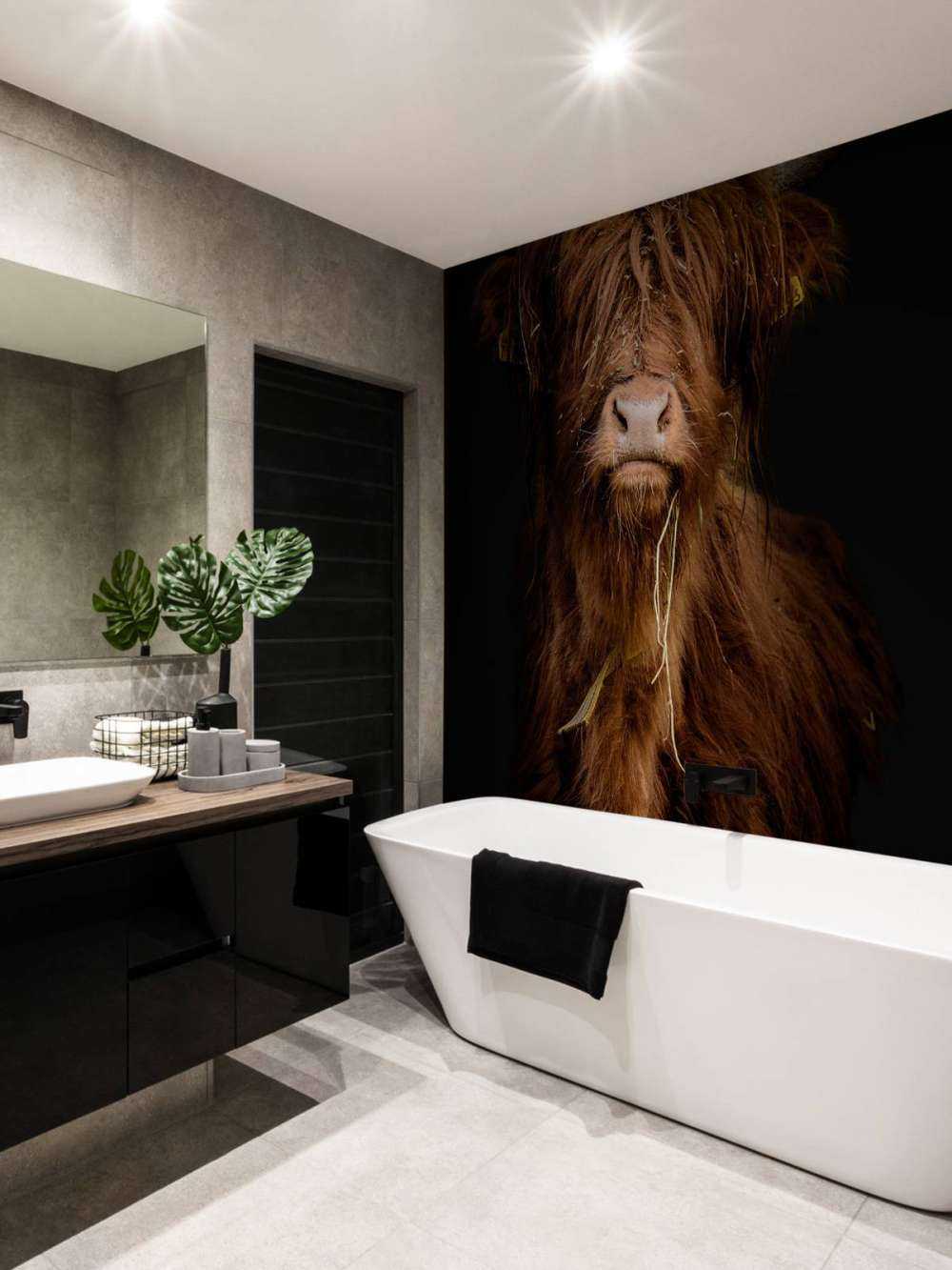 Portrait Scottish Highlander