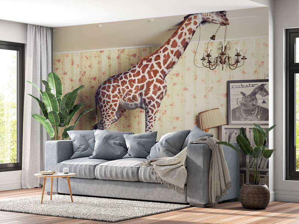 Giraffe in the living room
