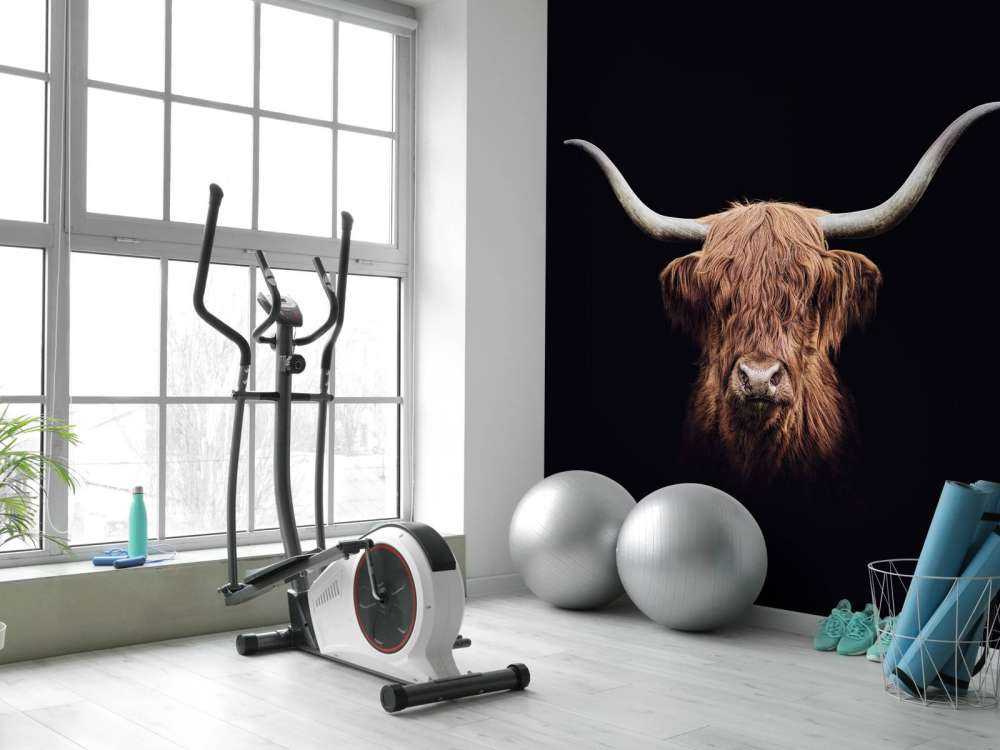 Vintage Scottish Highlander