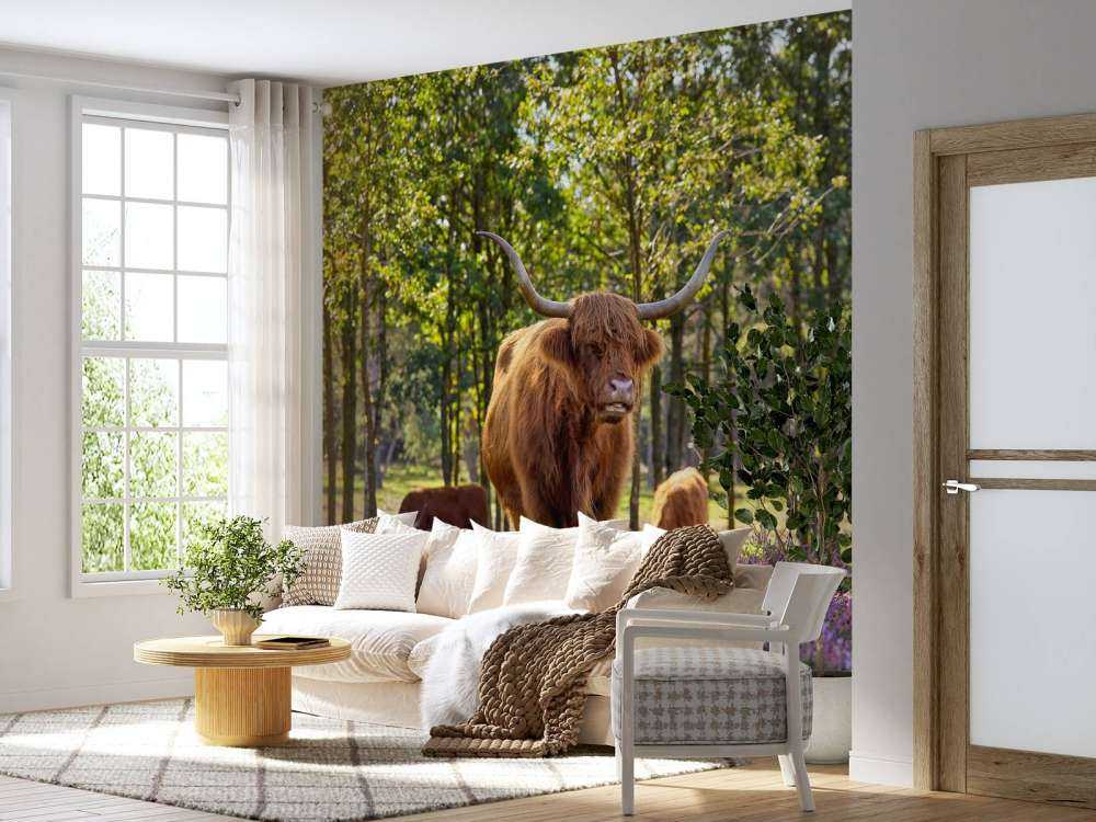 Highlanders in nature reserve