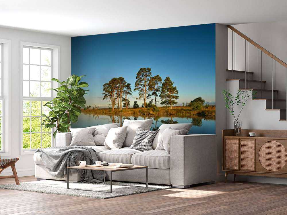 Reflection in forest lake