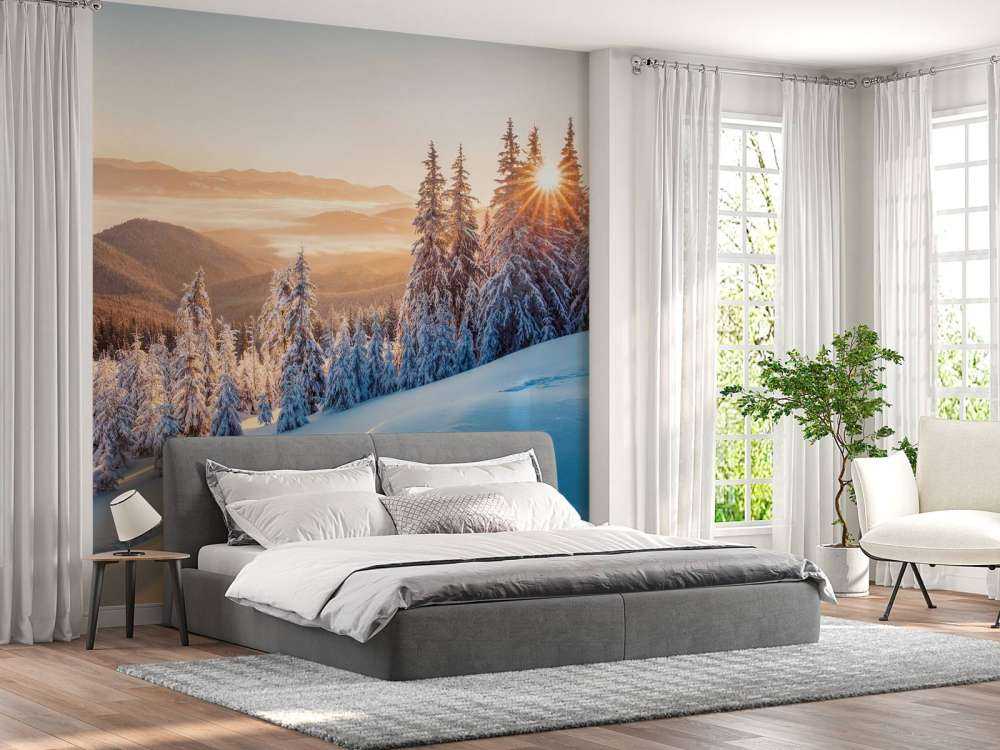 Winter morning in the mountains