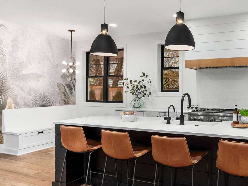 Misty jungle splendor