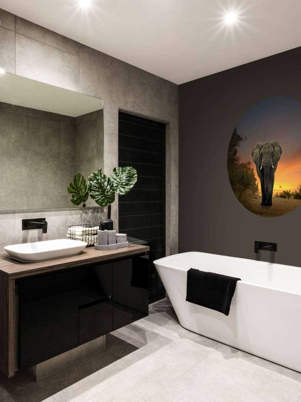 Elephant in the sunset