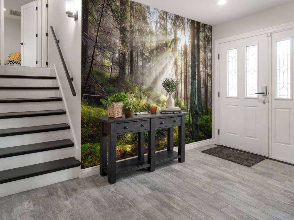 Autumn forest with sunshine