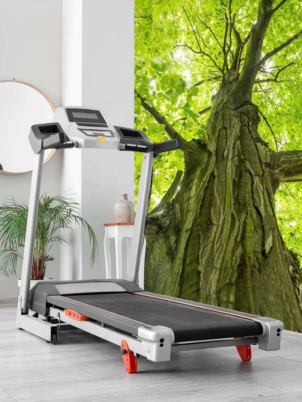 Large tree in the forest