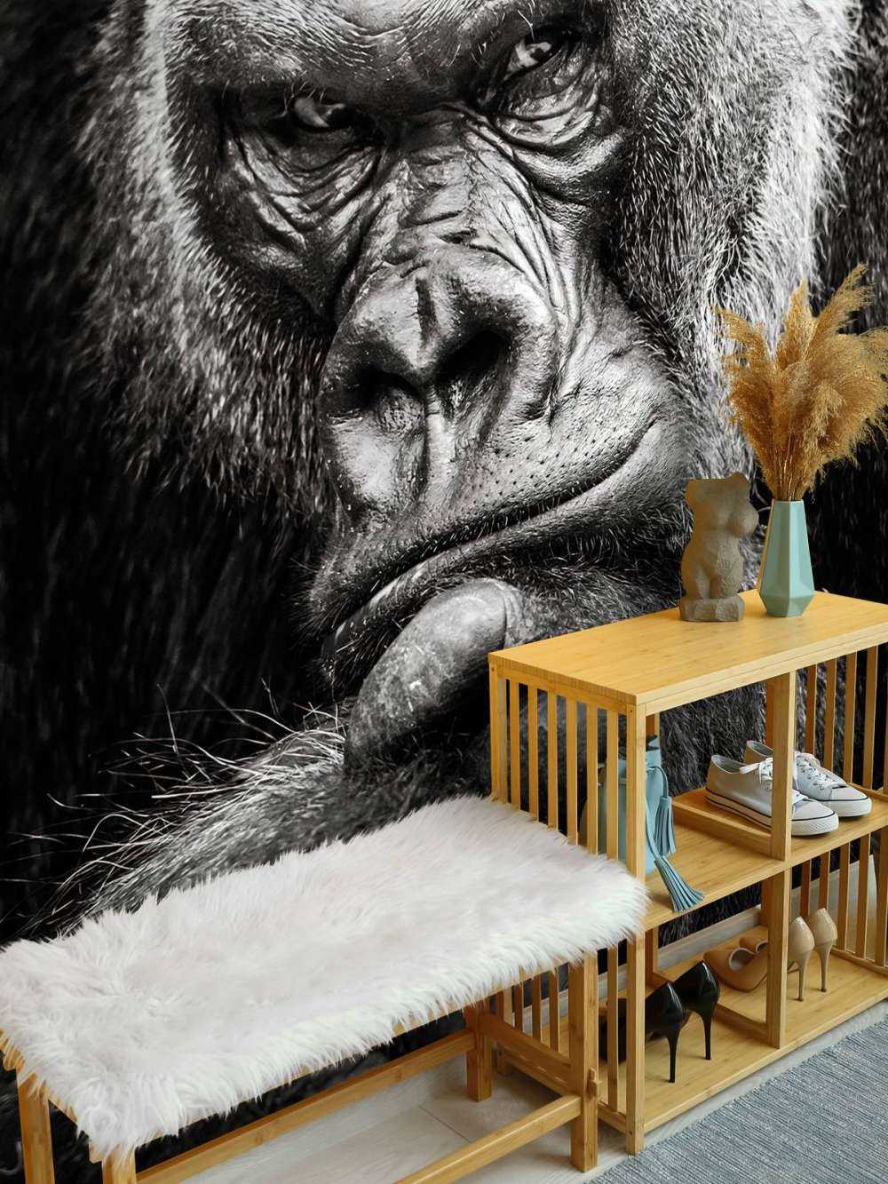 Close-up picture of a gorilla