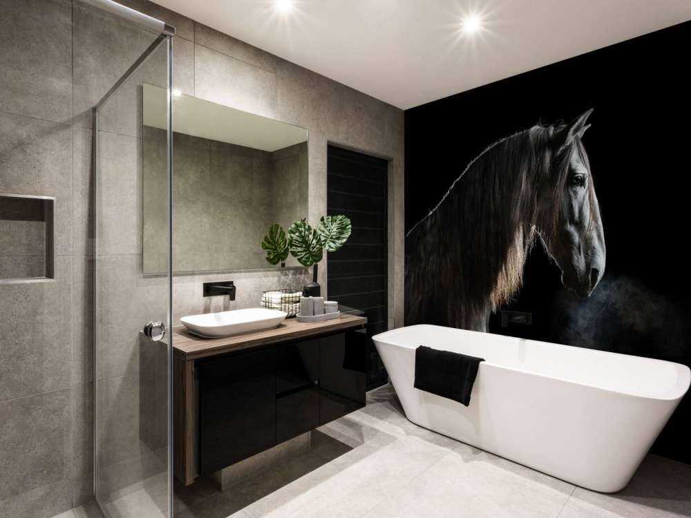 Mould with black background