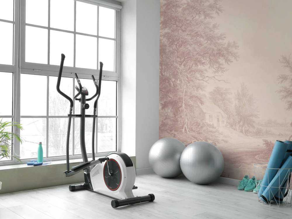 Painted Master Blush