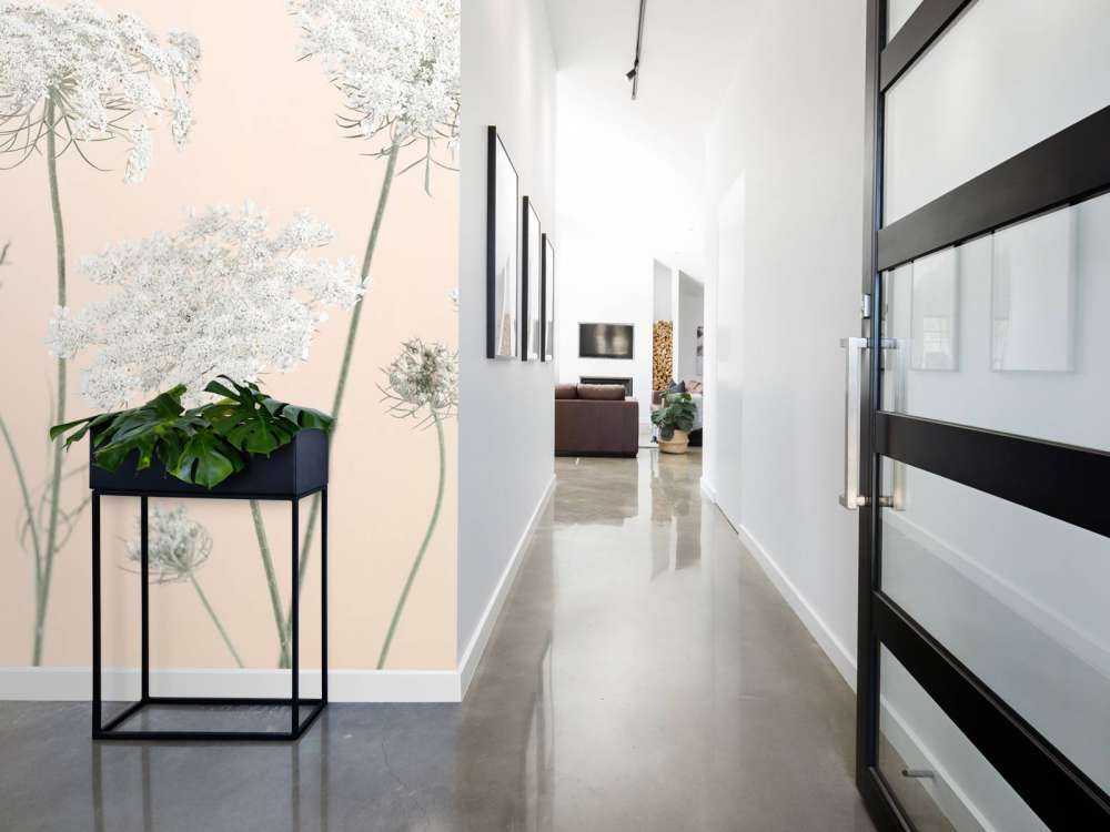 Cow parsley flowers on coloured background