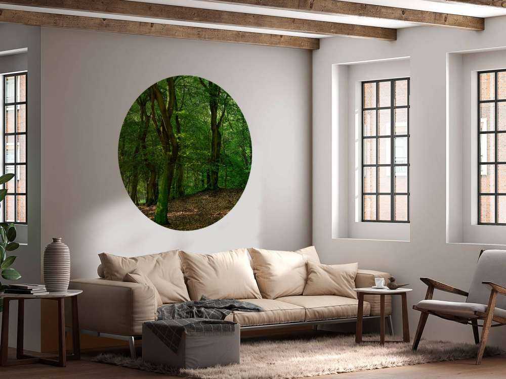 Trees with green leaves