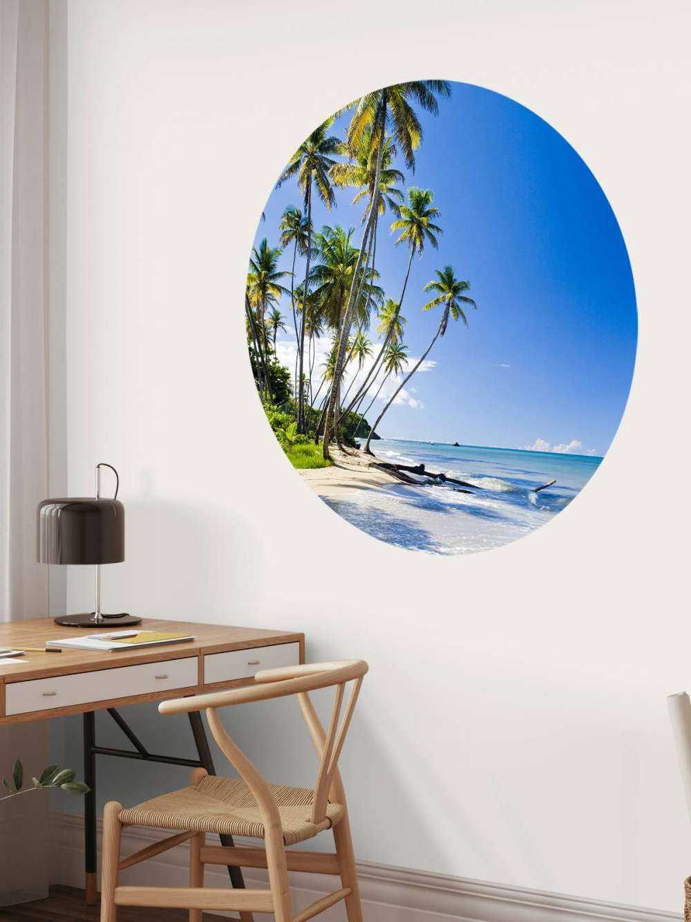 North coast of Trinidad