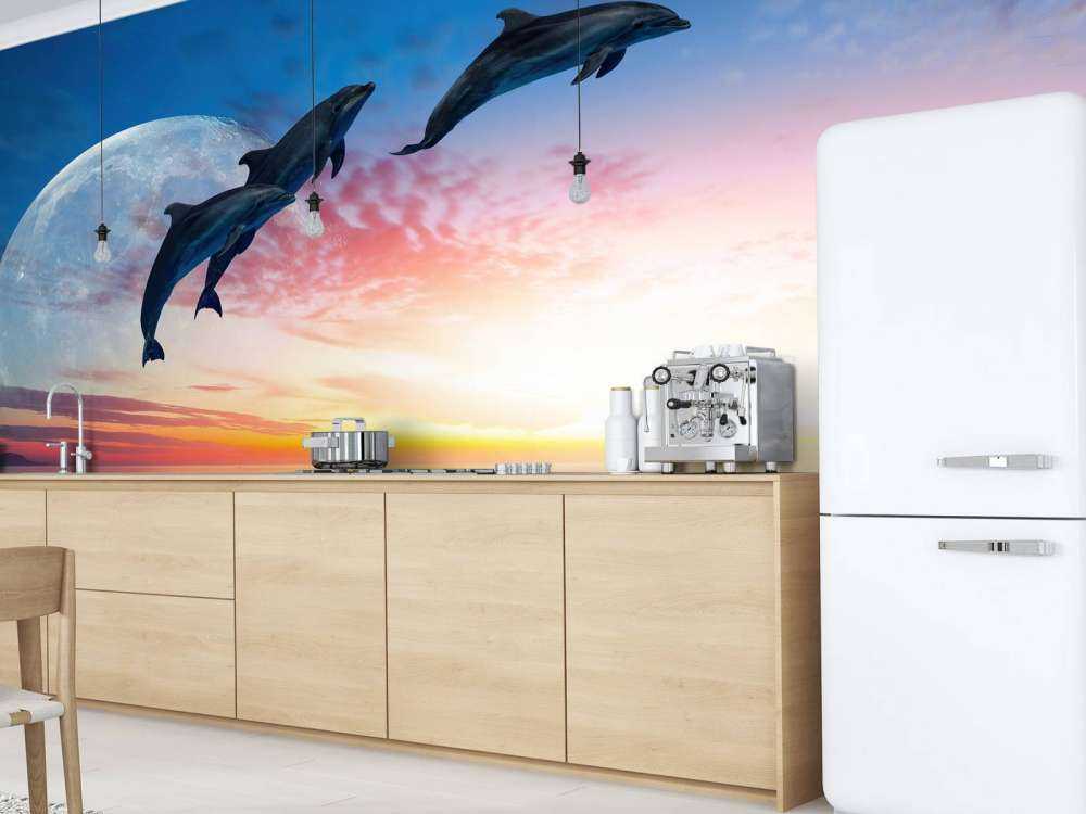 Dolphins in the night