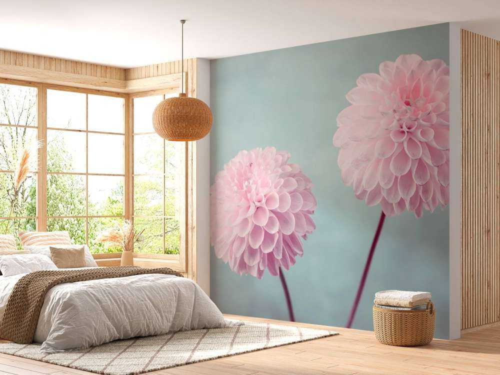 Two Dahlia Flowers