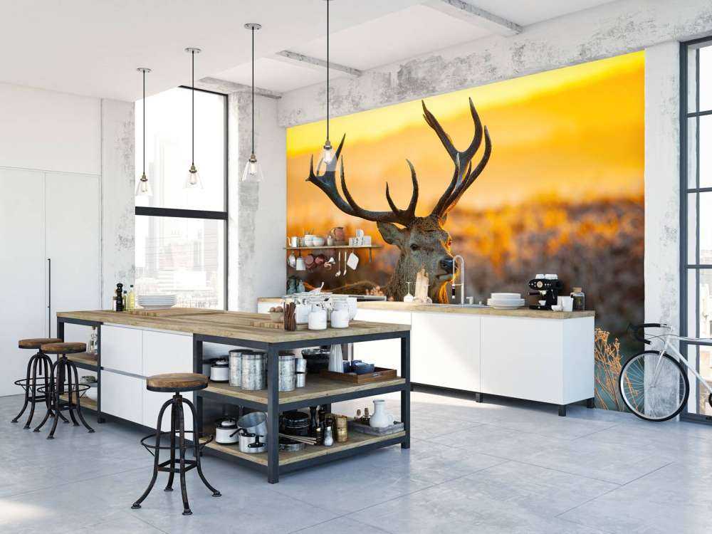 Deer in nature reserve