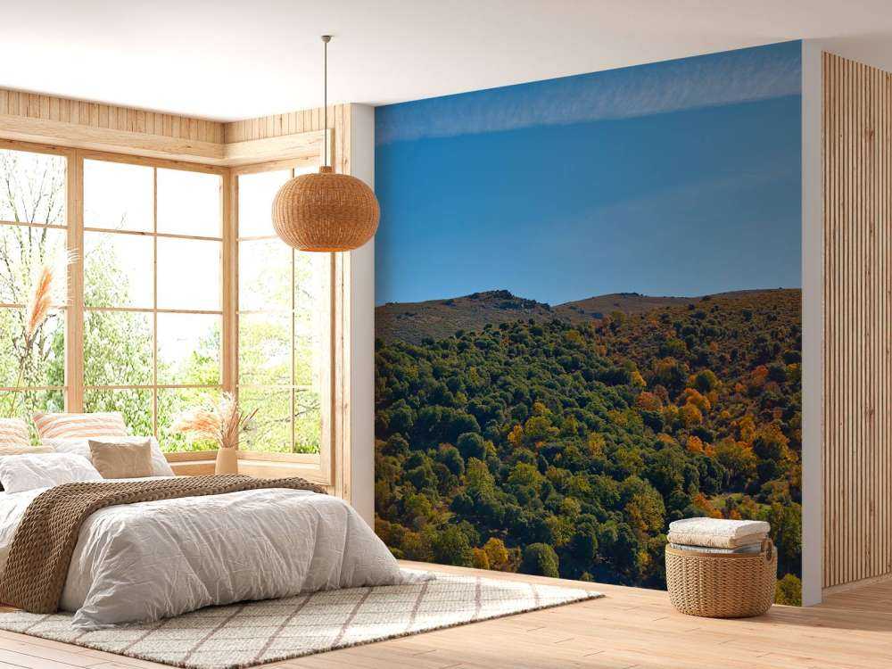 Autumn in the mountains