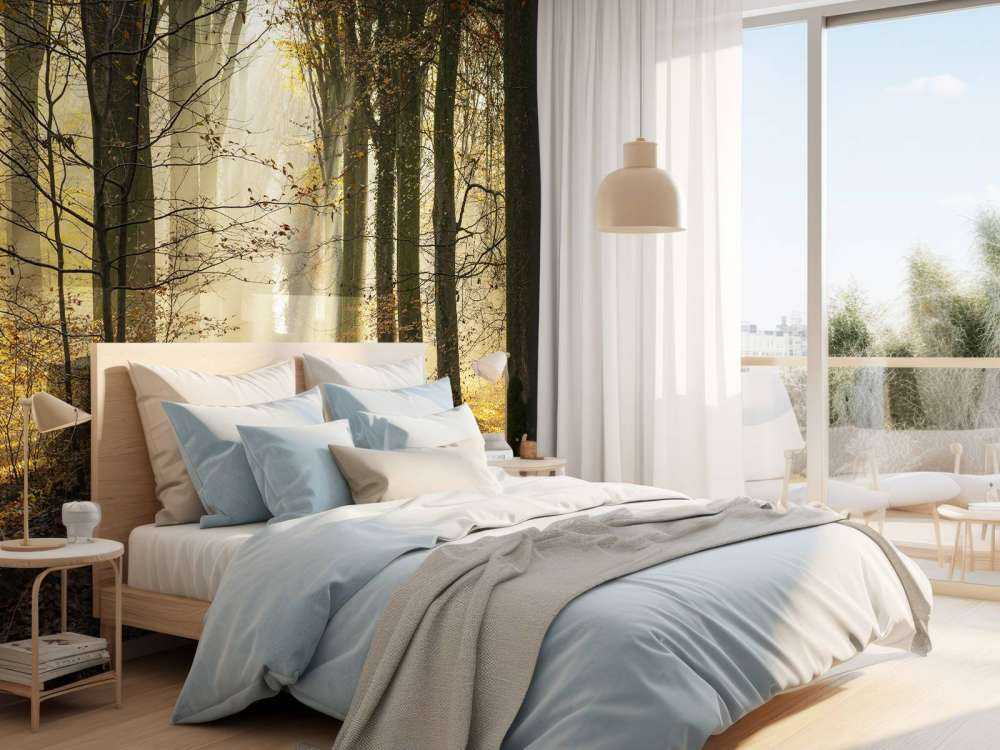 The forest of Crécy