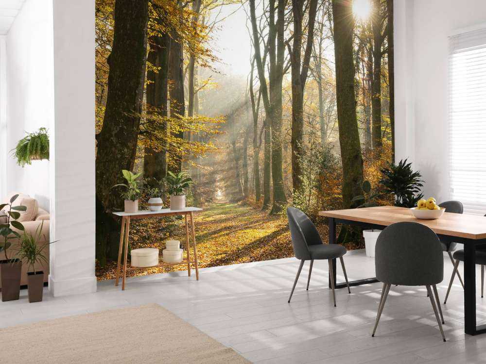 The forest of Crécy