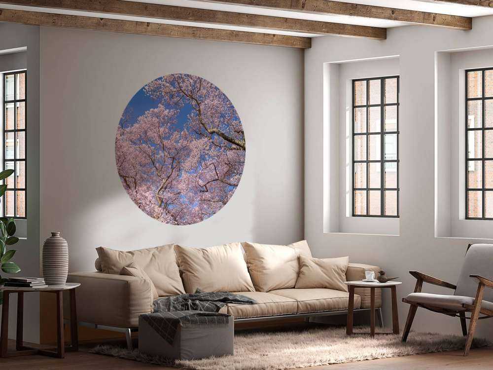 Blossoms with blue sky