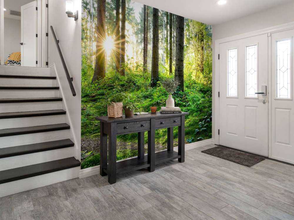 Forest panorama in spring