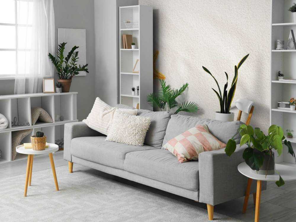 Starfish on white sand